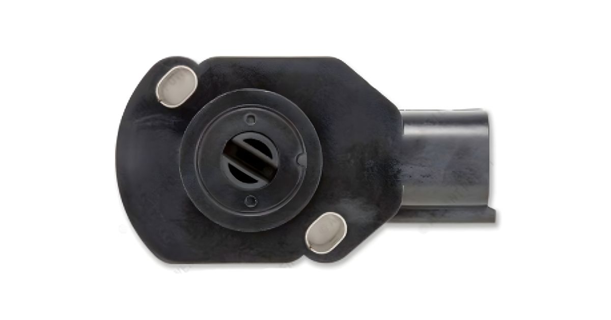 blessedperformance.com