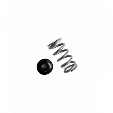 Fleece Valve Spring & Retainer Set|BlessedPerformance.com