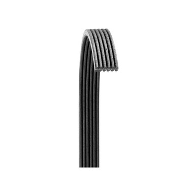 Dayco 6.7L Serpentine Belt|blessedperformance.com