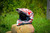 MotoPro Graphics Blitz Series Helmet Wrap - White / Red
