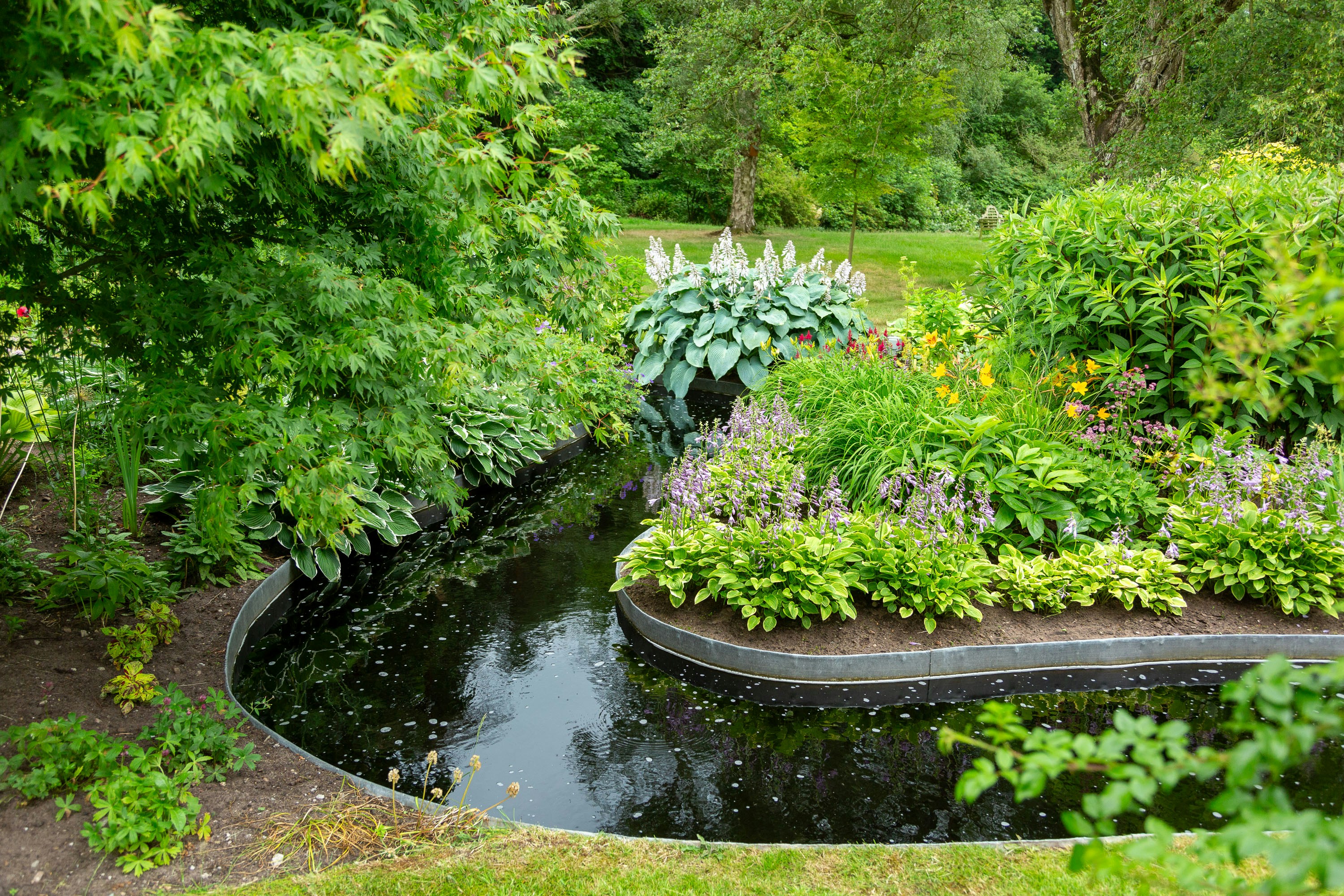 8 Ideas for Landscaping with Hostas