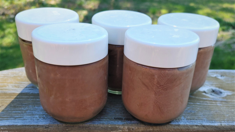 Probiotic chocolate ice cream (with WHEY!)