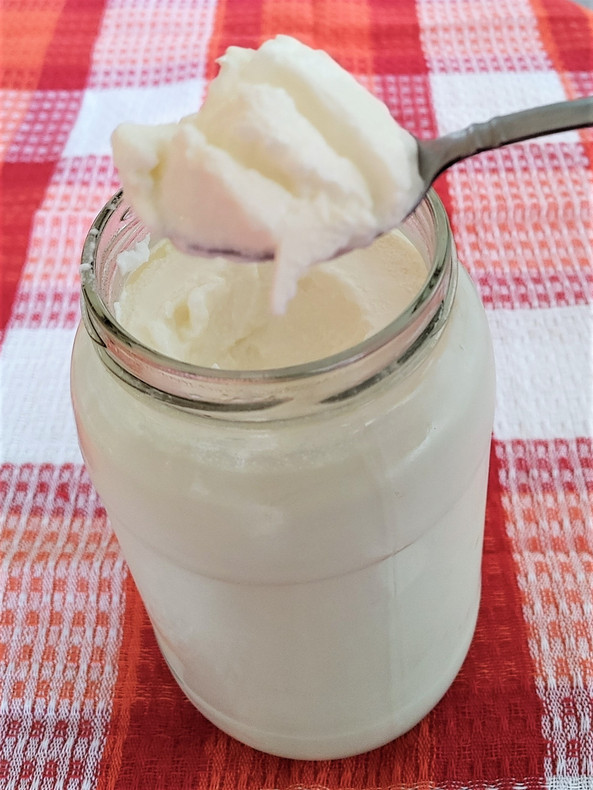 The DOs and DON'Ts of L. Gasseri Superfood fermentation