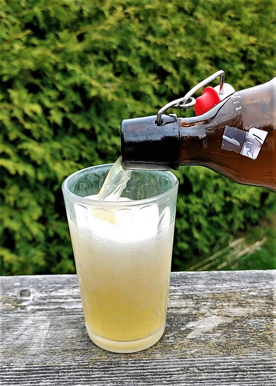 Probiotic Kefir Soda: New on the scene of DIYed fermented beverages!