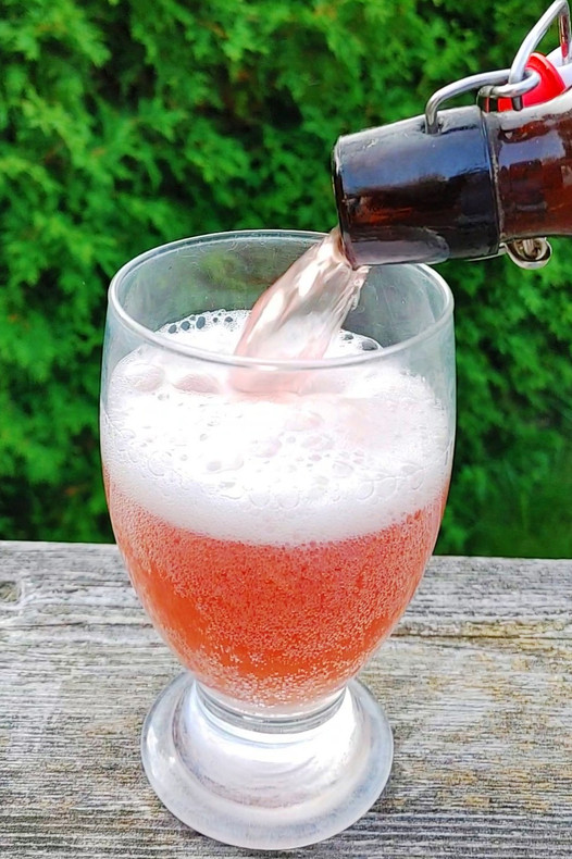 Kefir Soda, water kefir, or kombucha?