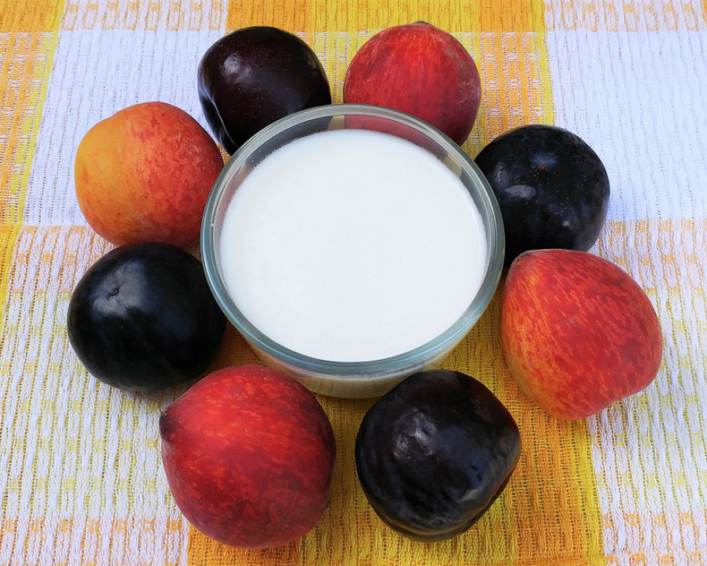 Welcoming summer with a bowl of homemade kefir and fruit