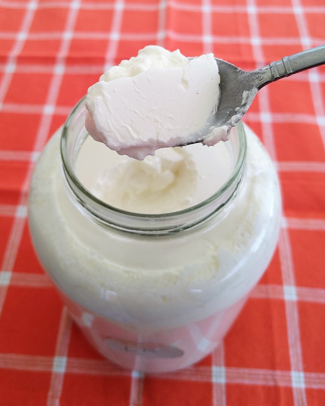 L. Reuteri Superfood made with half-and-half and whole milk