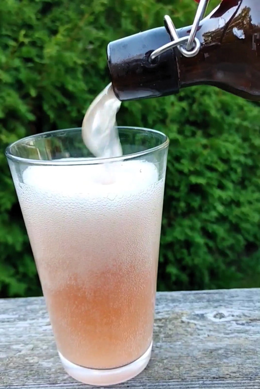 Fizzzzz! (and other Kefir Soda fun facts!)