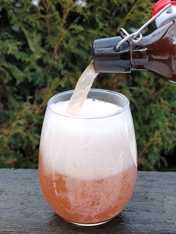 What is this sparkling drink? Kefir Soda or kombucha?