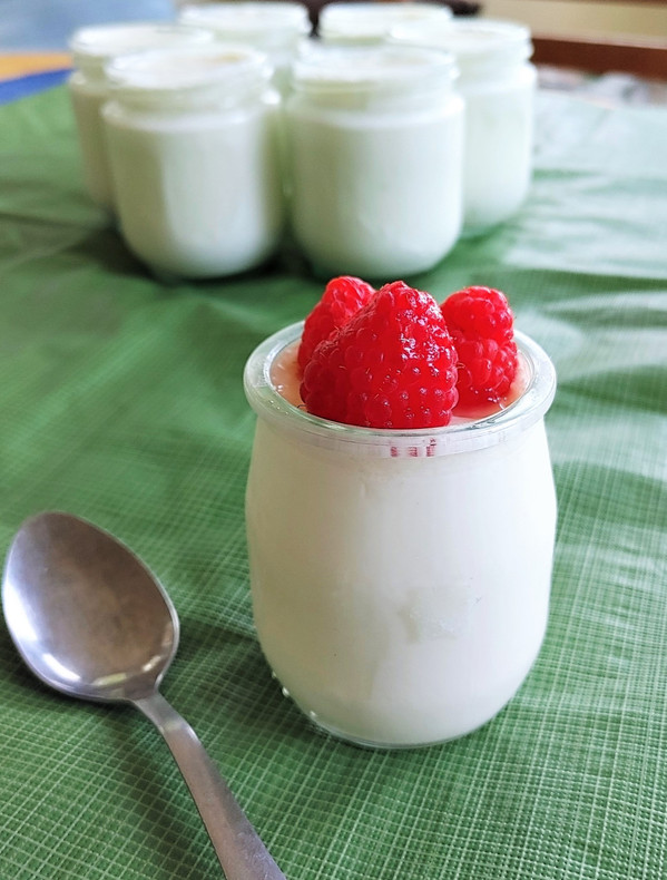 Make rich probiotic  yogurt at home!