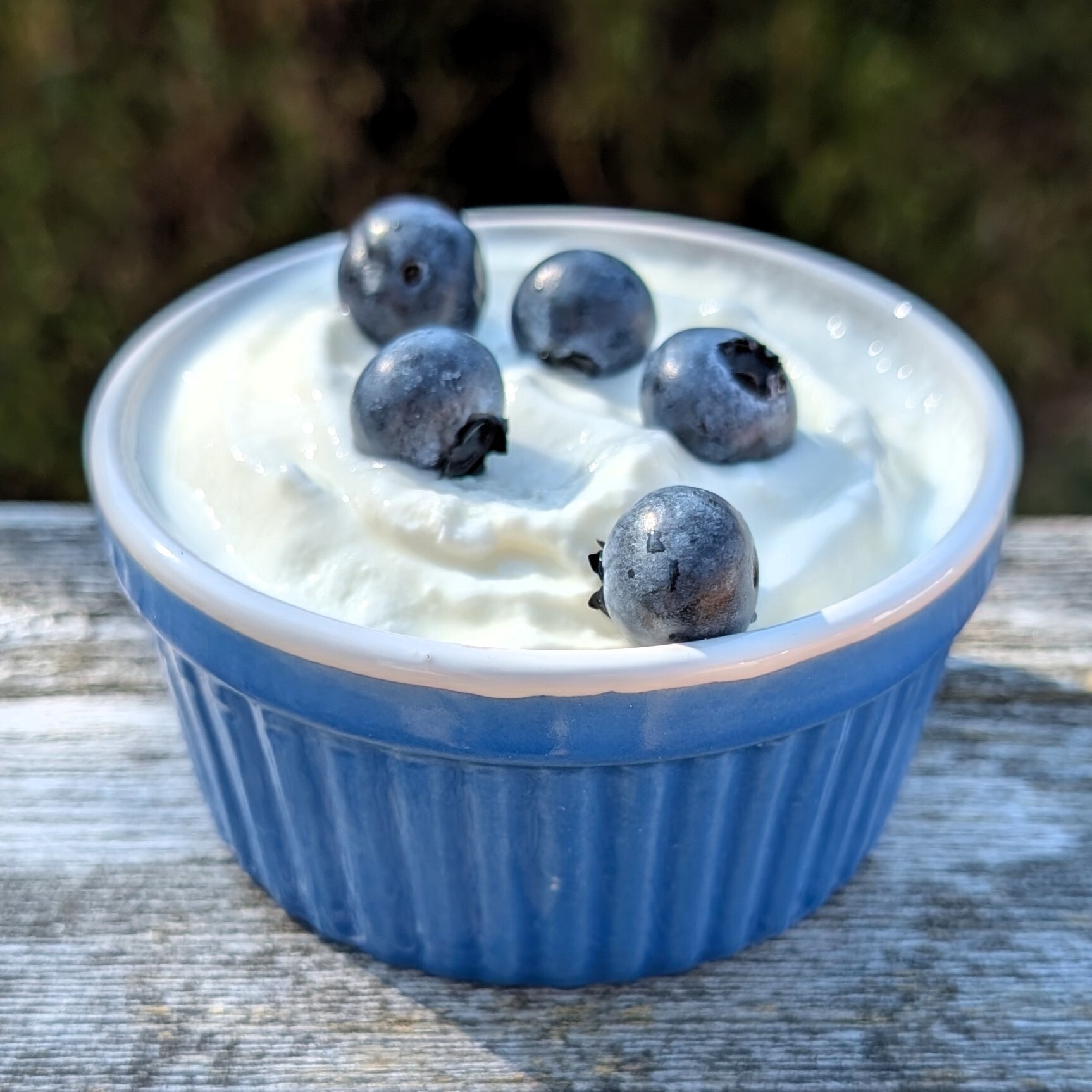 Easy Skyr Yogurt
