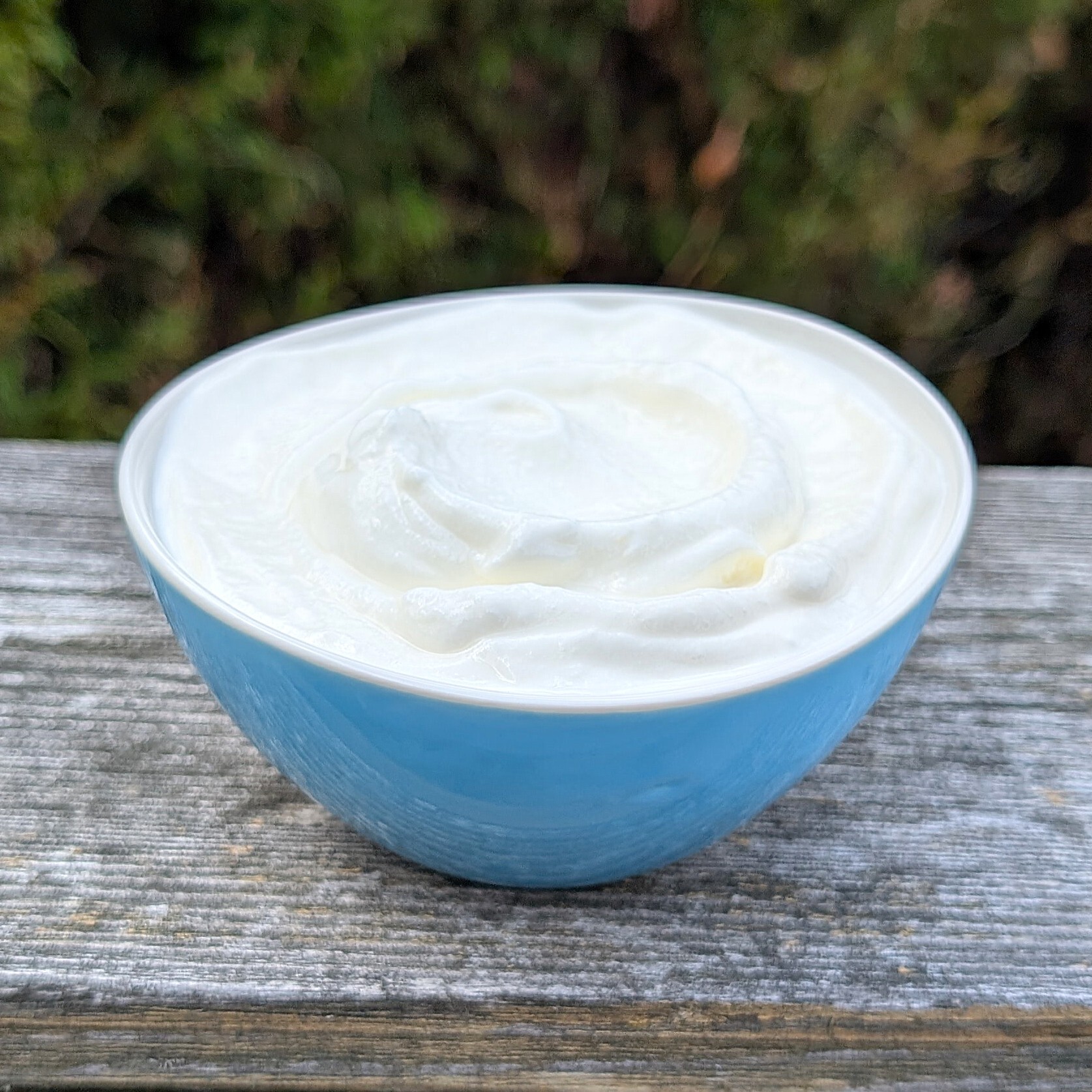 Greek Yogurt in bowl