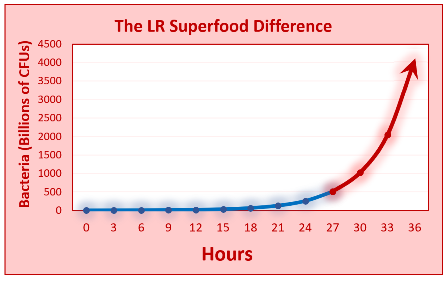 36 hours fermentation graph