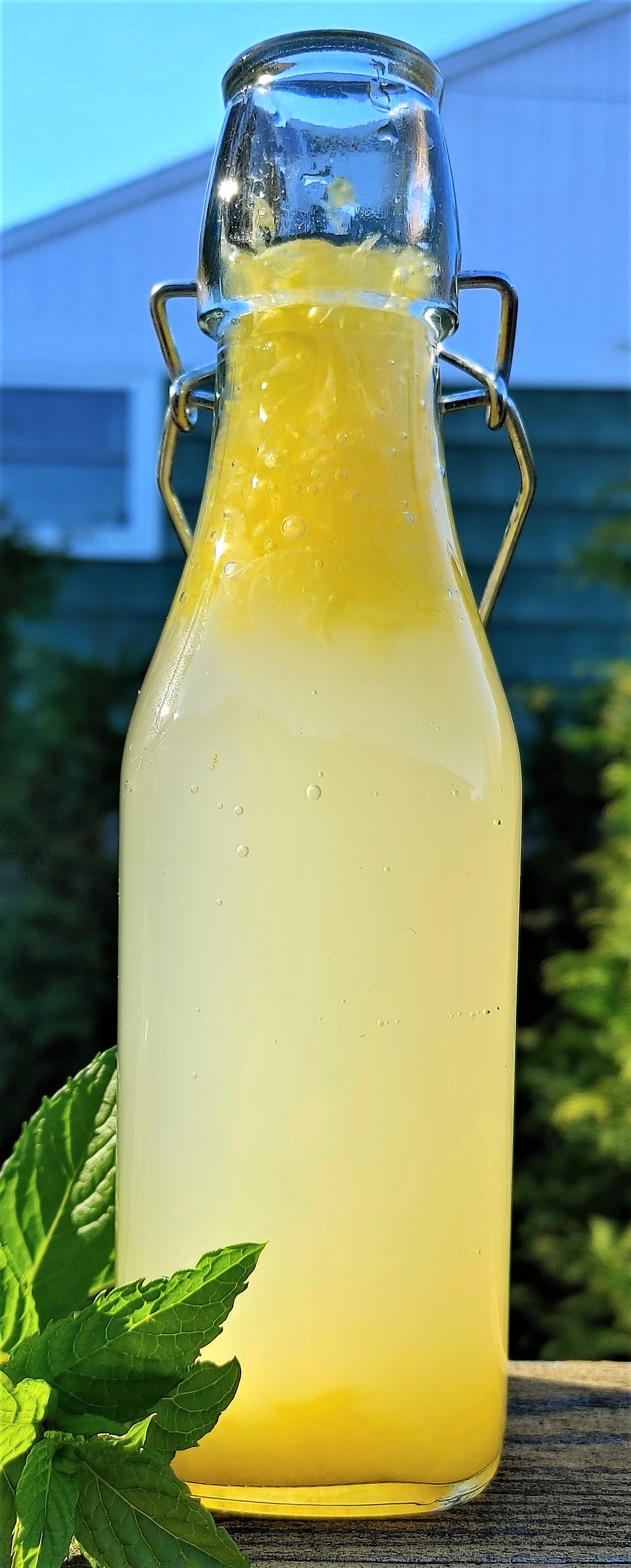 Orange kefir soda