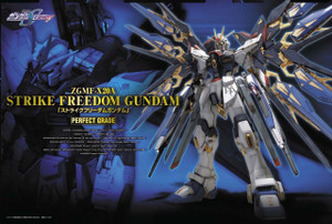 1/60 Strike Freedom Gundam