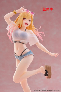 Marin Kitagawa (Swimwear Ver.)