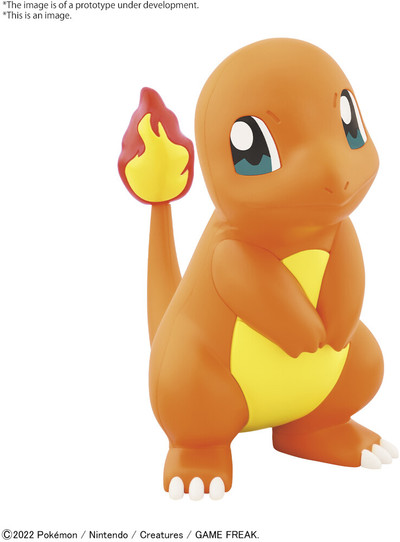 Charmander (Quick Build Kit #11)