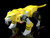 Gambaruger (Moderoid Ver.)