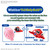 Kirby - Kirby (Entry Grade Ver.)