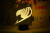 Fairy Tail - Fairy Tail Guild Emblem LED Lamp
