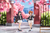 Cardcaptor Sakura: Clow Card - Sakura Kinomoto (Pop Up Parade Ver.)