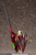 11.1 - Bullet Knights Lancer Hell Blaze