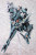 Xenoblade - Formula 