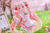 Hatsune Miku - Sakura Miku Newley Written Figure
