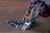 ZOIDS - Lightning Saix (Irvine Special 2000 recolor)