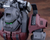 ZOIDS - IRON KONG (Schwarz Special 1999 -Recolor-)