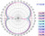 Radiation pattern
