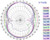 Radiation pattern