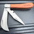 Rite Edge Laser Etched Wood Pruning 2 Bladed Folding Pocket Knife