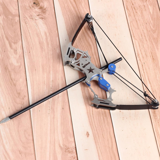8" Archery Mini Compound Bow and Arrow Set