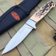 Faux Stag Hunter Fixed Blade 2.63in Plain Drop Point