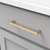Skylight Collection Pull 6-5/16'' cc Brushed Golden Brass Finish HH075329-BGB