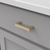 Coventry Collection Pull 3'' cc Brushed Golden Brass Finish B077987BGB