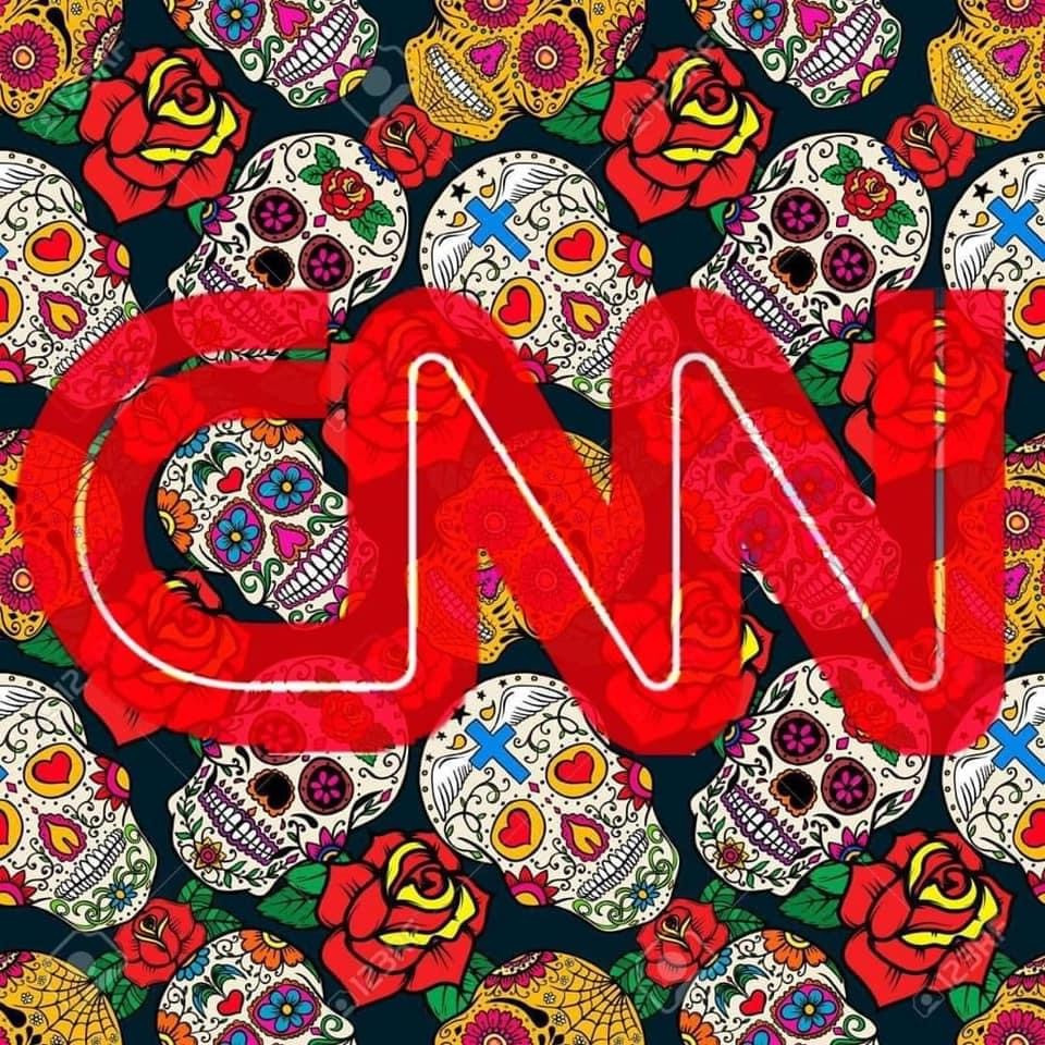 CNN Floral Logo Stickers - Meme Mayhem Sticker Store