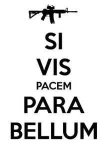 Si Vis Pacem Para Bellum