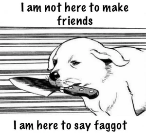 I'm Not Here to Make Friends