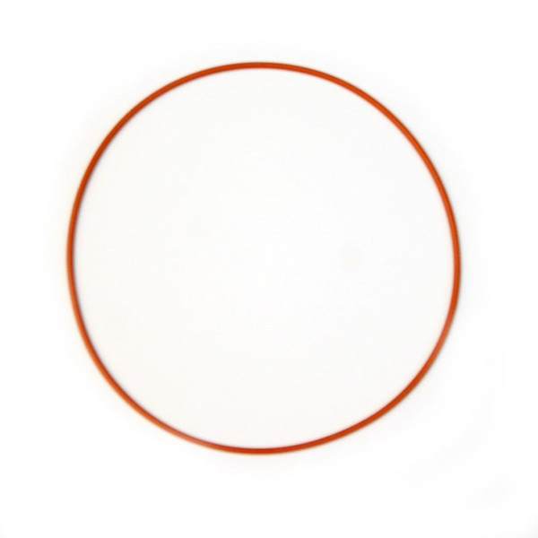 Replacement O-Ring For 4.6L 2V Plate