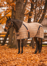 5/A Baker® Stable Sheet