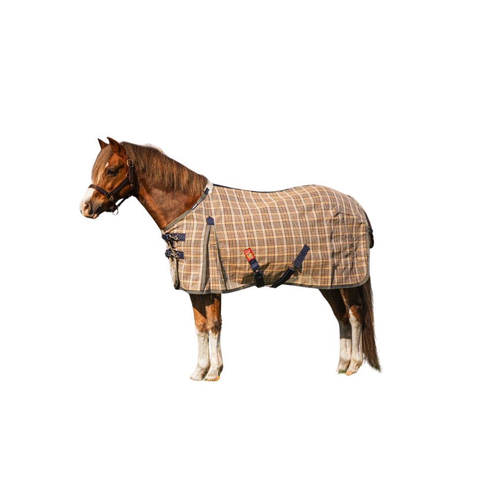 Pony & Foal