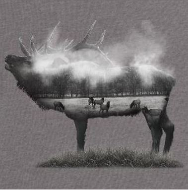 Arkie Apparel Boxley Elk Tee