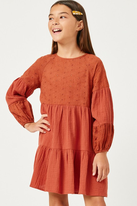 Girls' Rust Embroidered Panel Dress