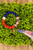 Patriotic Beads Tassel Wristlet Keychain