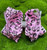 7.5" Pink & Black Cheetah Print Rhinestone Hairbow