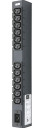 Basic CDU Horizontal 1U, 30A, (12) C13