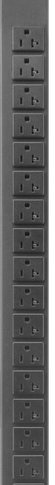 Basic PDU  with NEMA outlets