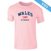 Wales Harvard Kids T-Shirt